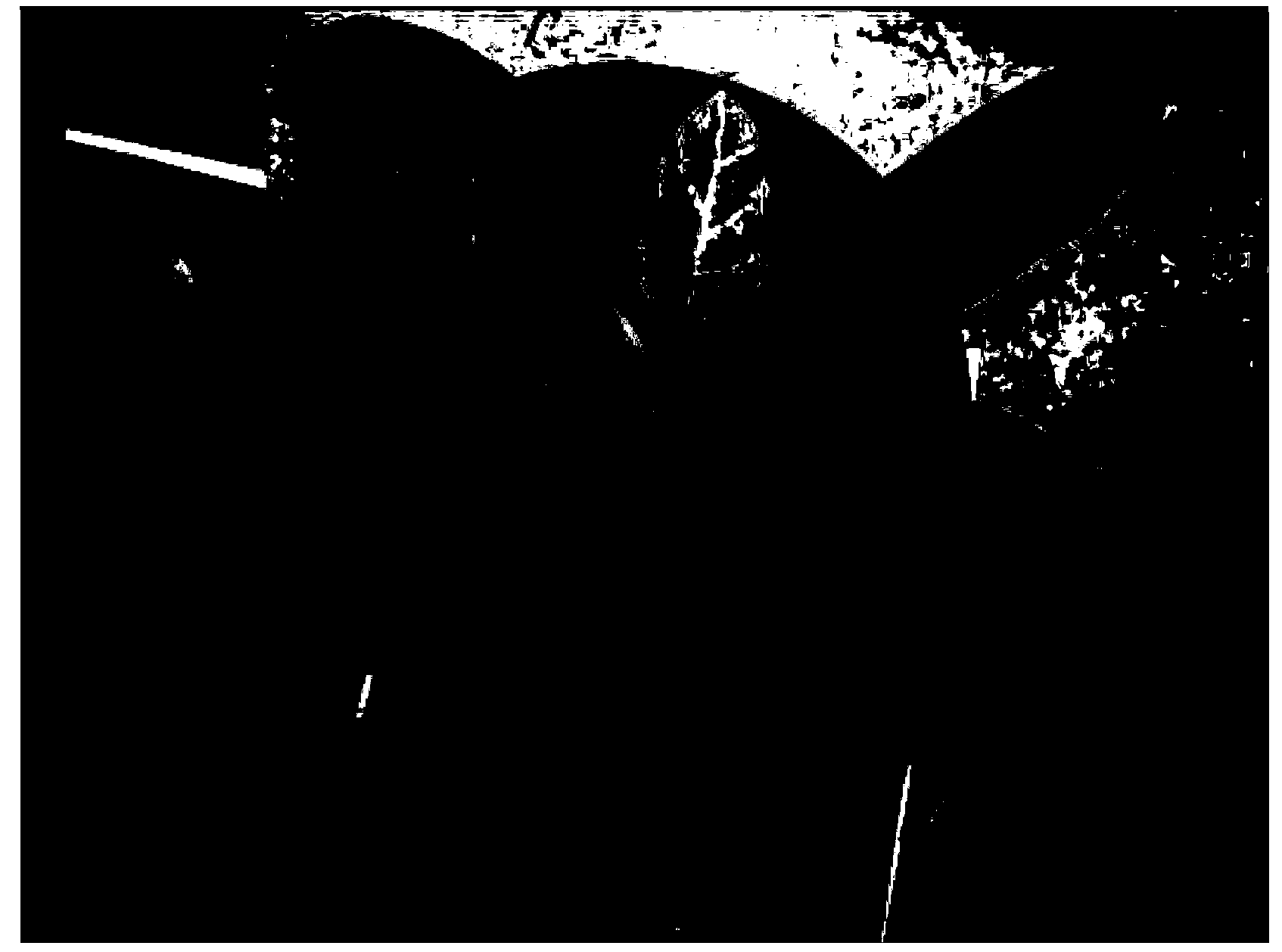 Method for improving salt stress resistance capacity of plants