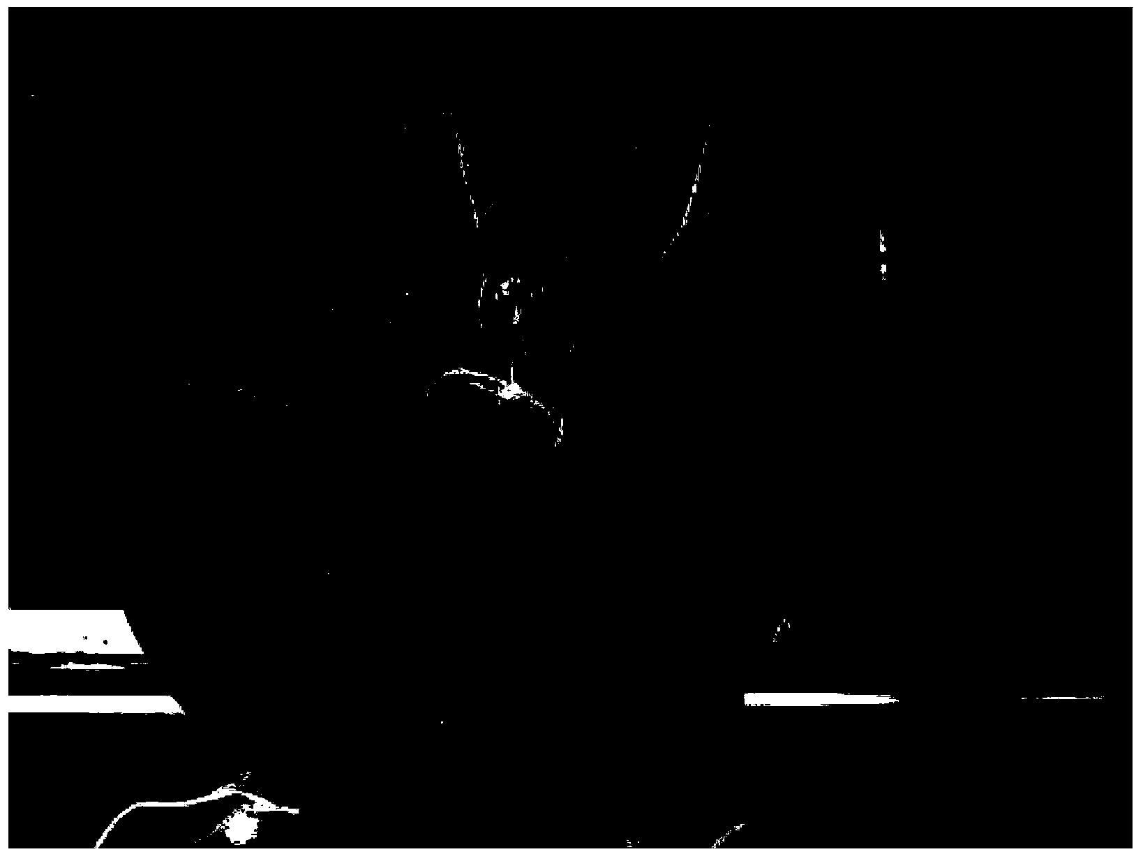 Method for improving salt stress resistance capacity of plants