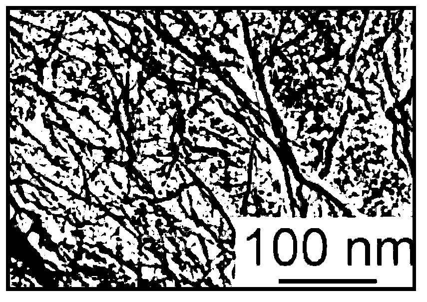 Application of graphene oxide as reinforcing agent of cement early strength