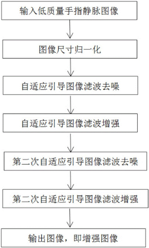 Adaptive guided filtering-based digital vein image enhancement method