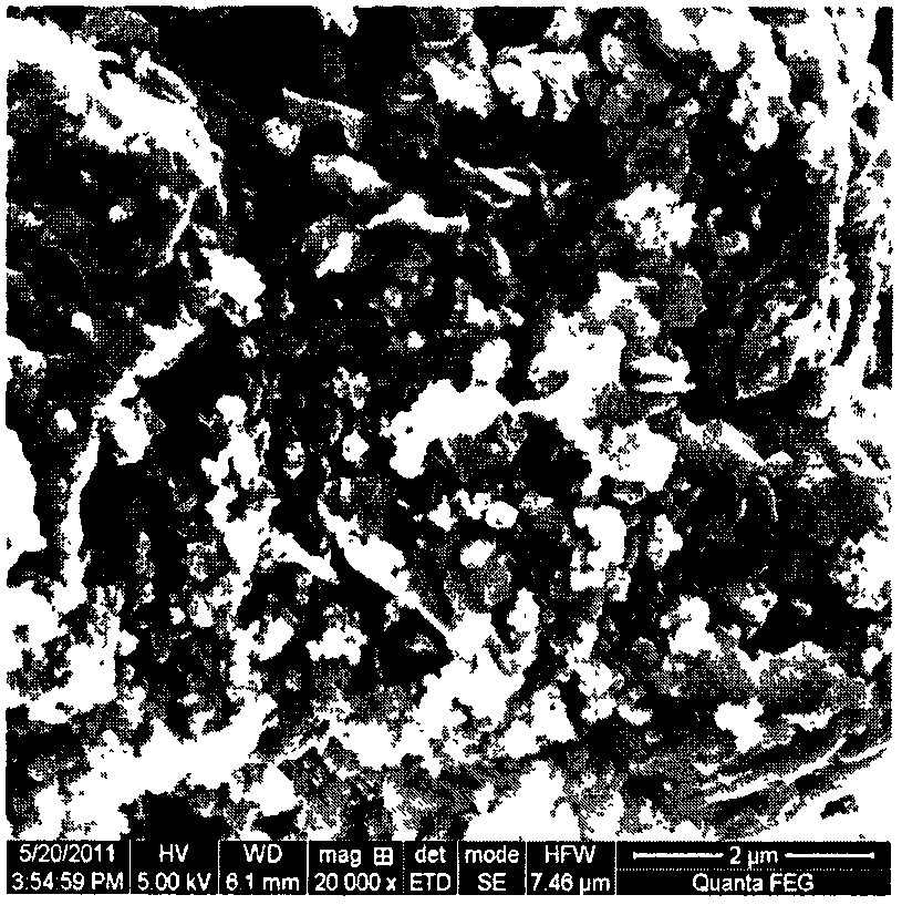 Method for preparing environment-friendly starch/bentonite composite material