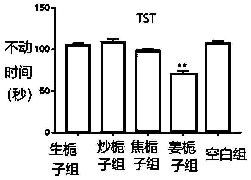 Processing method of fructus gardeniae and application of processed fructus gardeniae in preparation of antidepressants