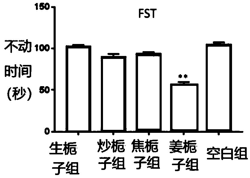 Processing method of fructus gardeniae and application of processed fructus gardeniae in preparation of antidepressants