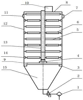 Ozone bleaching device