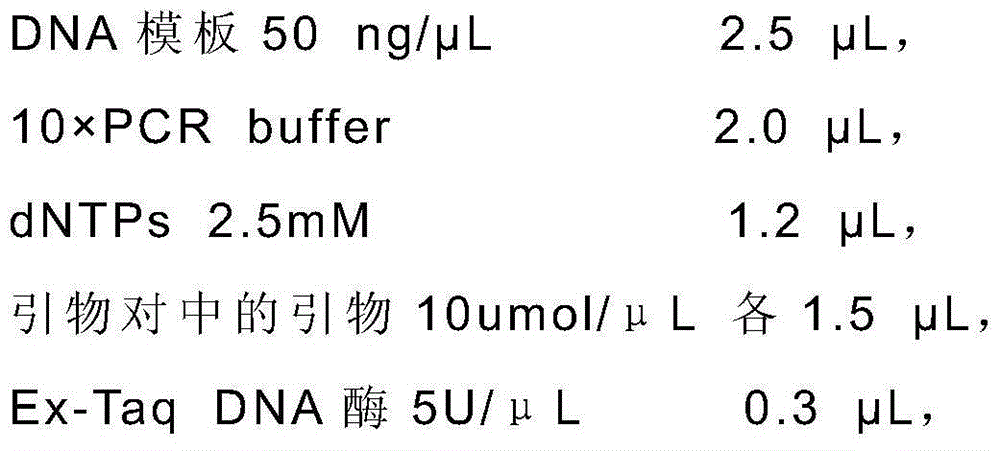 Molecular marker, primers and method for estimating left-end length of N introgressed segment of tobacco