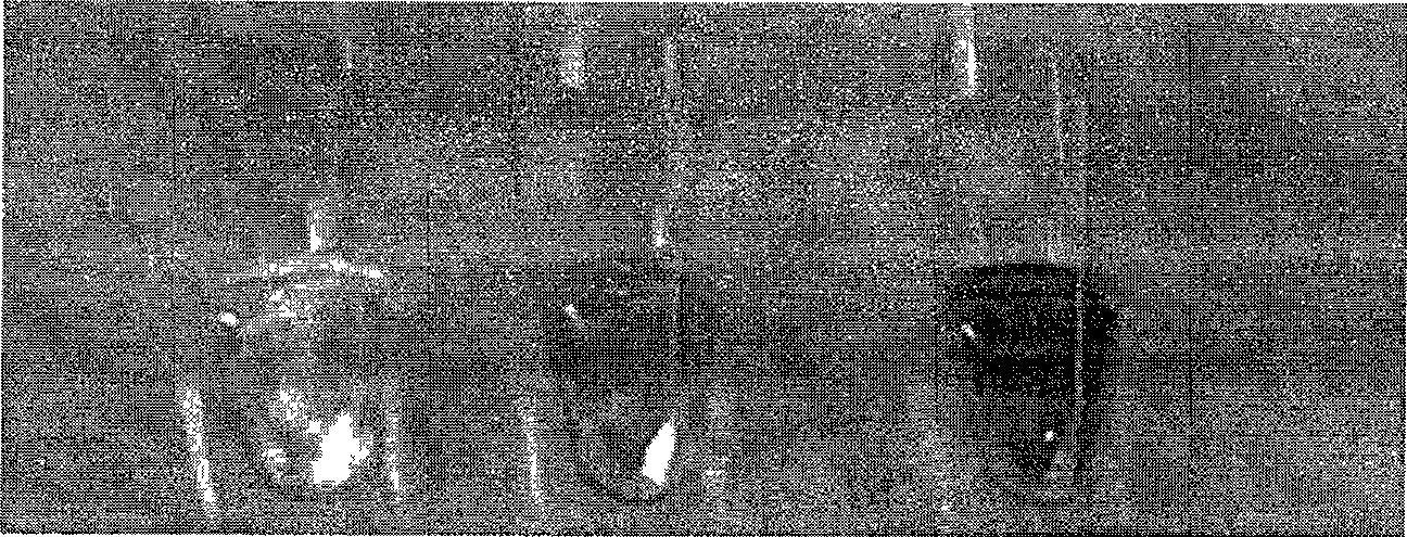 Method for detecting hydrogen peroxide or glucose based on enzyme simulation by ferroferric oxide magnetic nanometer particle