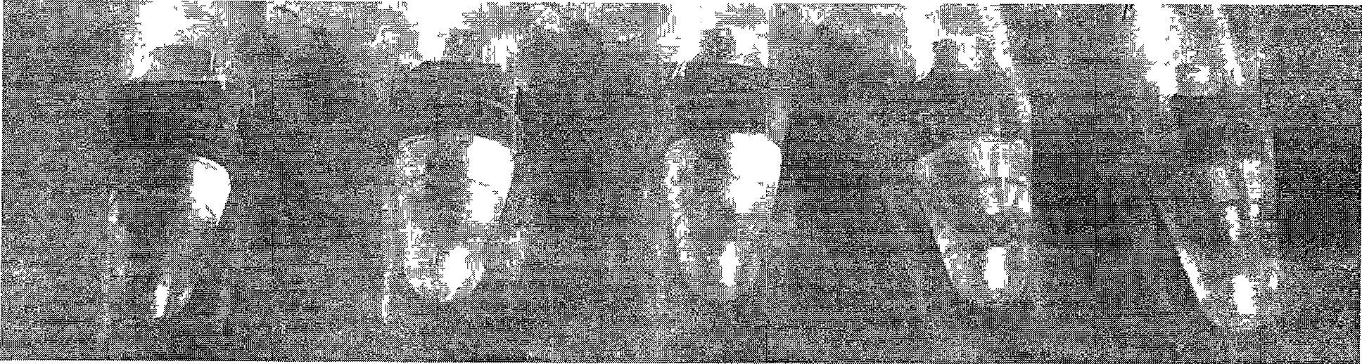 Method for detecting hydrogen peroxide or glucose based on enzyme simulation by ferroferric oxide magnetic nanometer particle