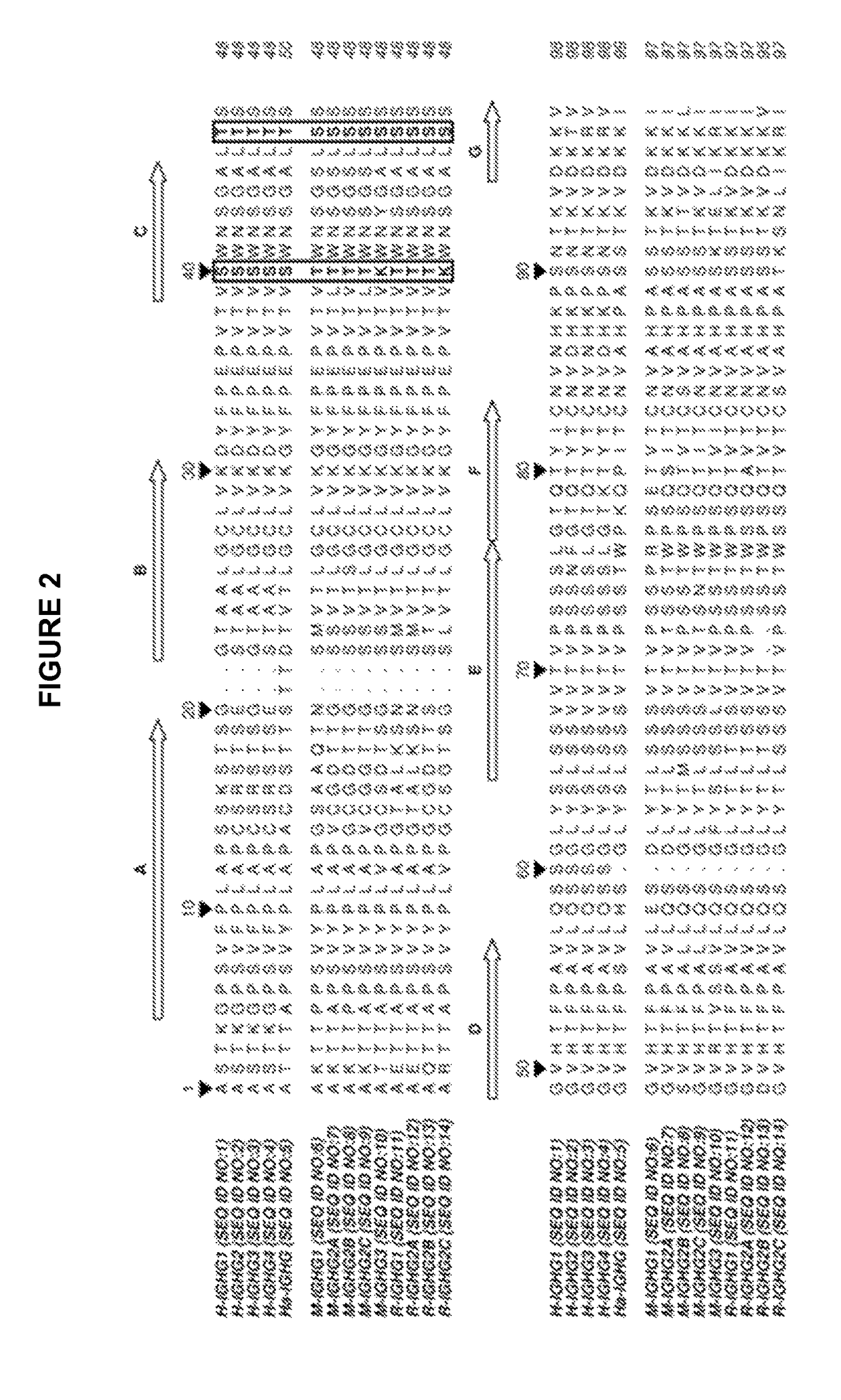 Readily isolated bispecific antibodies with native immunoglobulin format