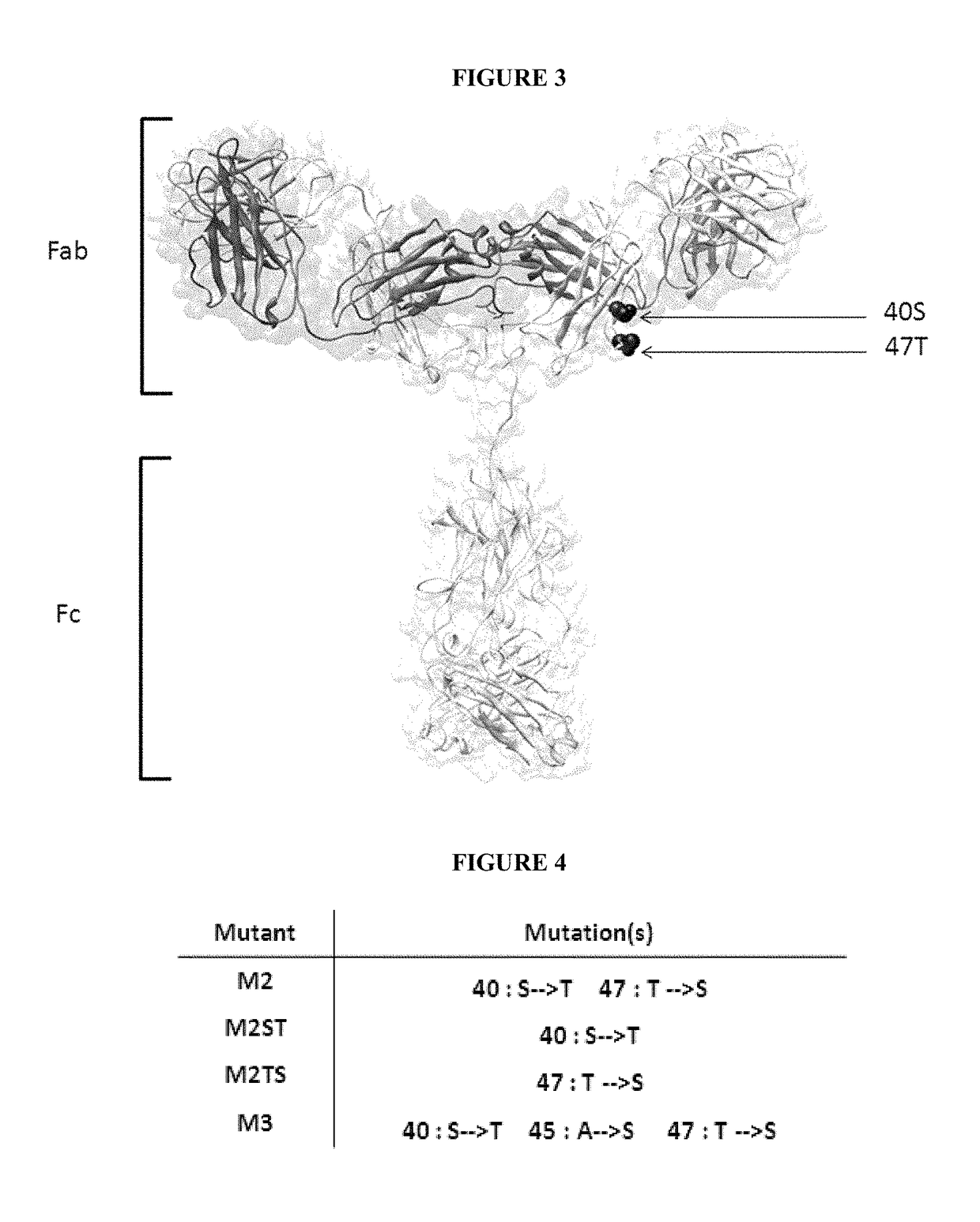 Readily isolated bispecific antibodies with native immunoglobulin format