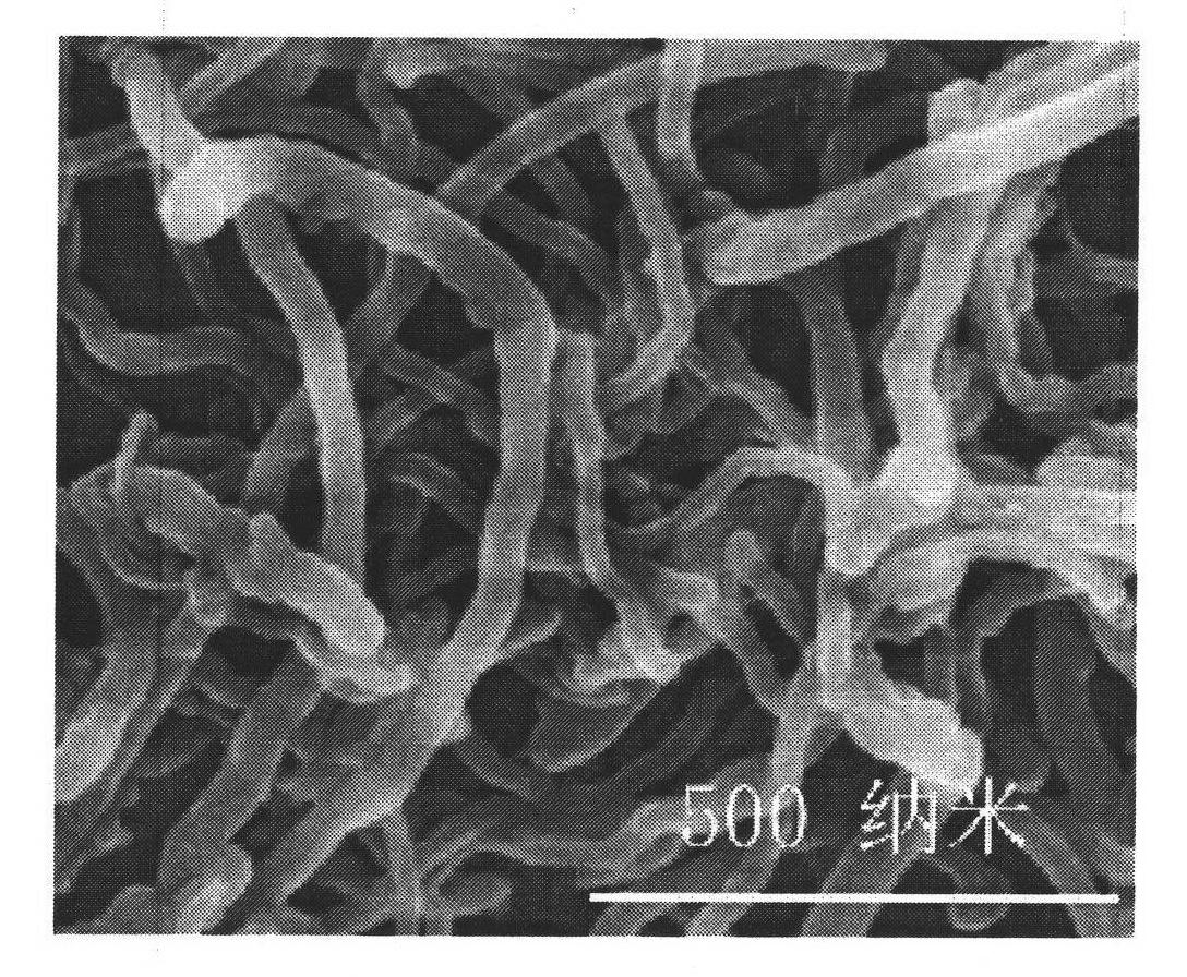 Preparation method for grafting maleic anhydride onto plasma activated carbon nano tube