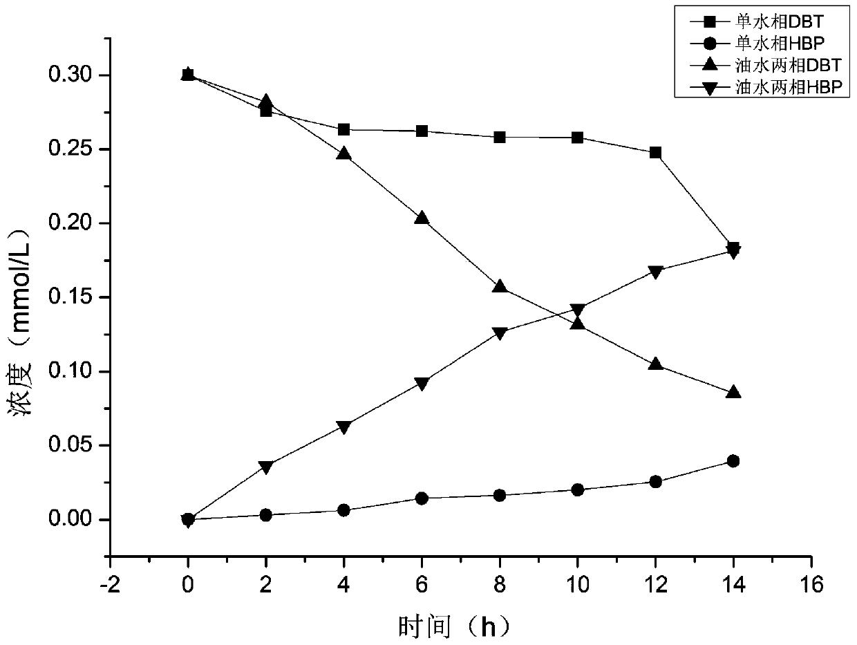 A Desulfurization Bacteria Efficiently Degrading DBTs and Its Application in Desulfurization