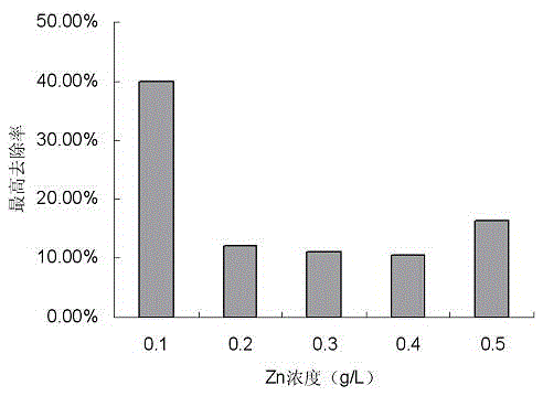 A strain of Pseudomonas aeruginosa and its application in removing heavy metal ions