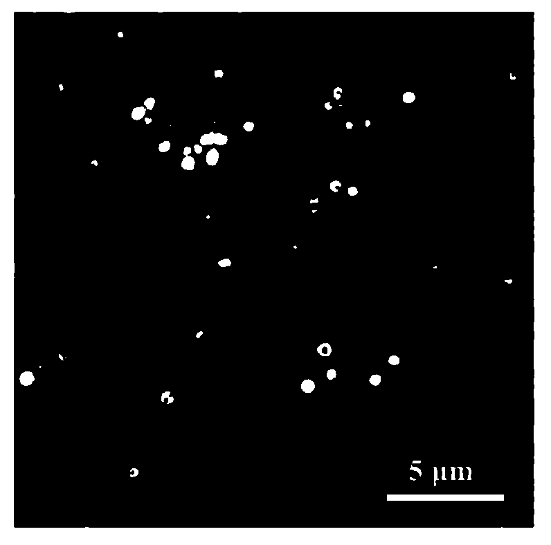 Pt open hollow sphere structure catalyst and preparation method and application thereof