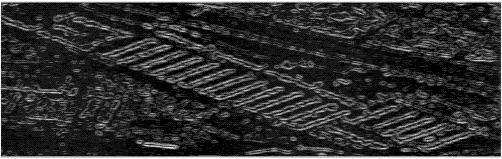 High-resolution synthetic aperture radar image linear building detecting method based on marked watershed algorithm