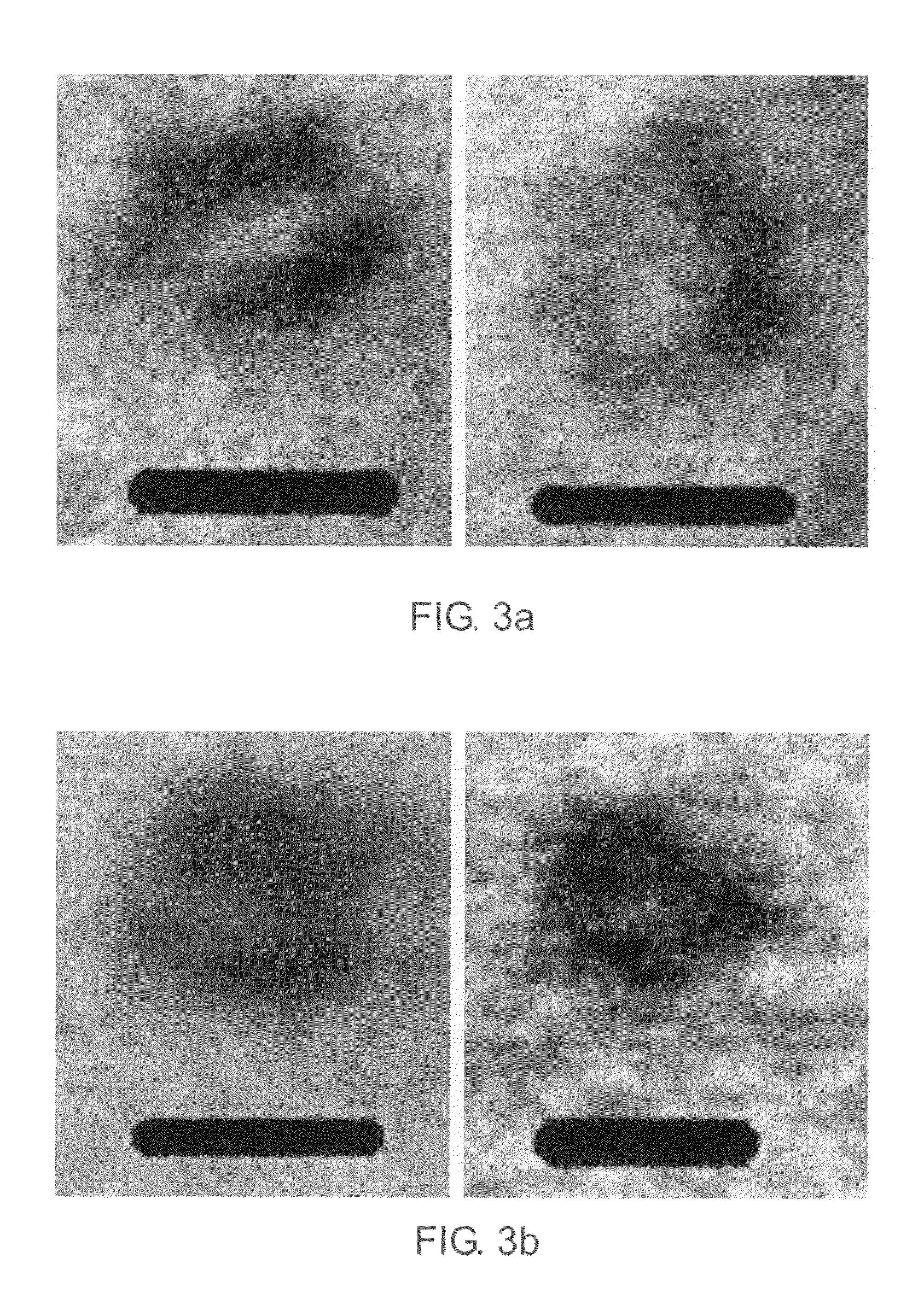 Fabrication of metal nanoshells