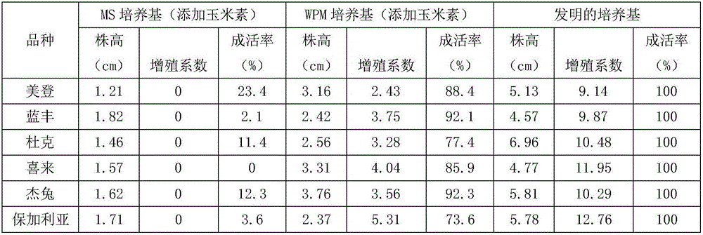 Subculture medium for blueberries and preparation method of medium