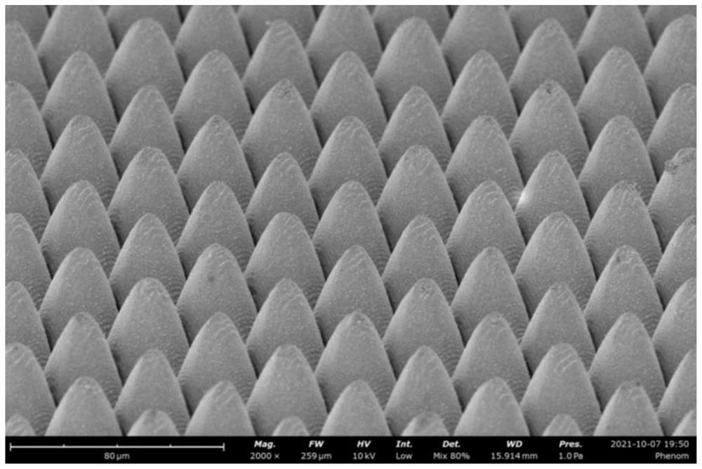 Super-hydrophobic surface with high durability and low ice adhesion and preparation method thereof