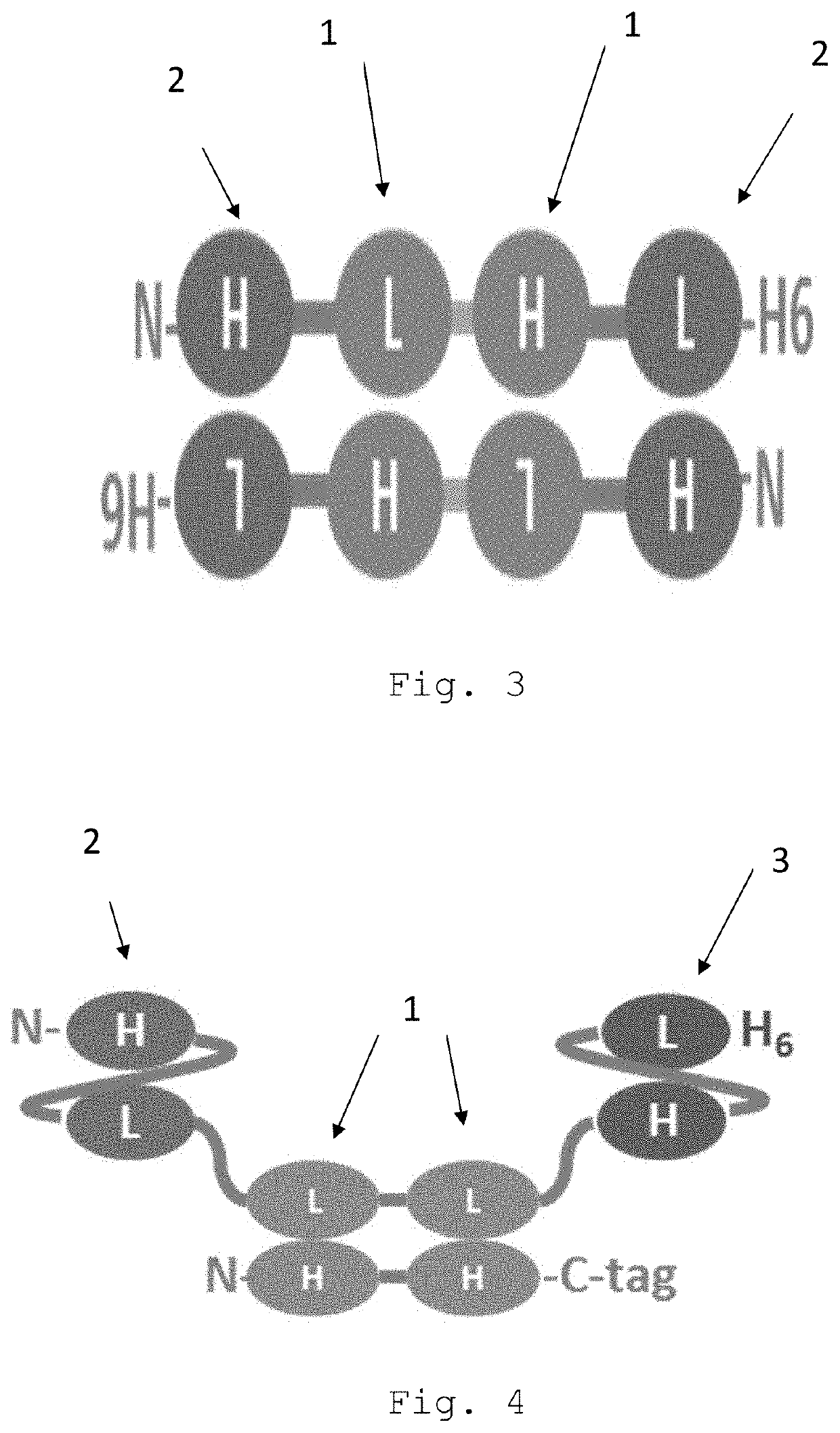 Bispecific egfr/cd16 antigen-binding protein