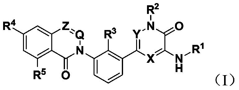 Bruton's kinase inhibitor