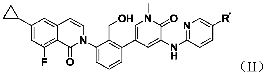 Bruton's kinase inhibitor