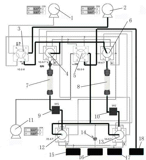 Double-column recycling chromatographic system