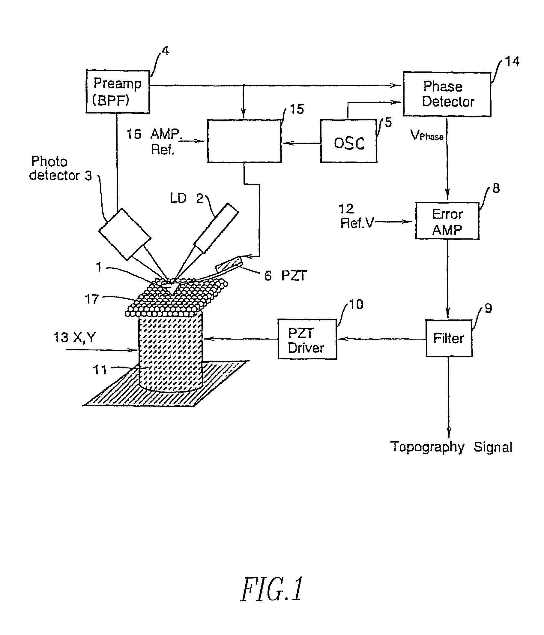 Phase feedback AFM and control method therefor