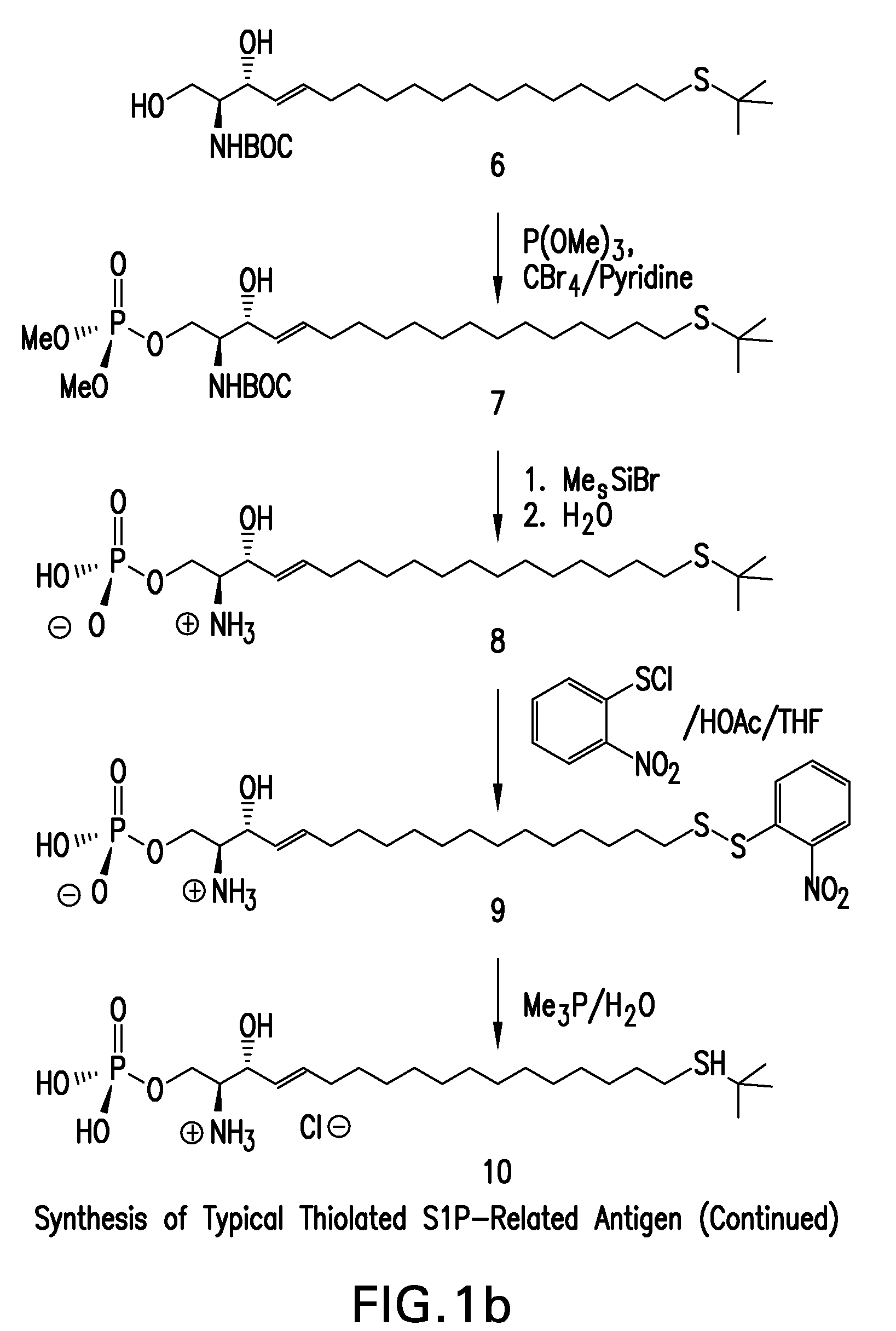 Humanized antibody compositions and methods for binding lysophosphatidic acid