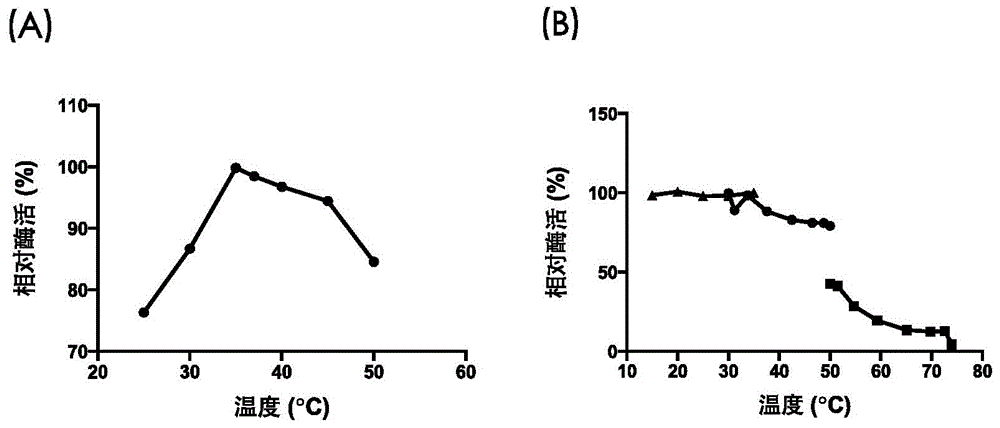 Xanthine dehydrogenase, and coding gene thereof and application