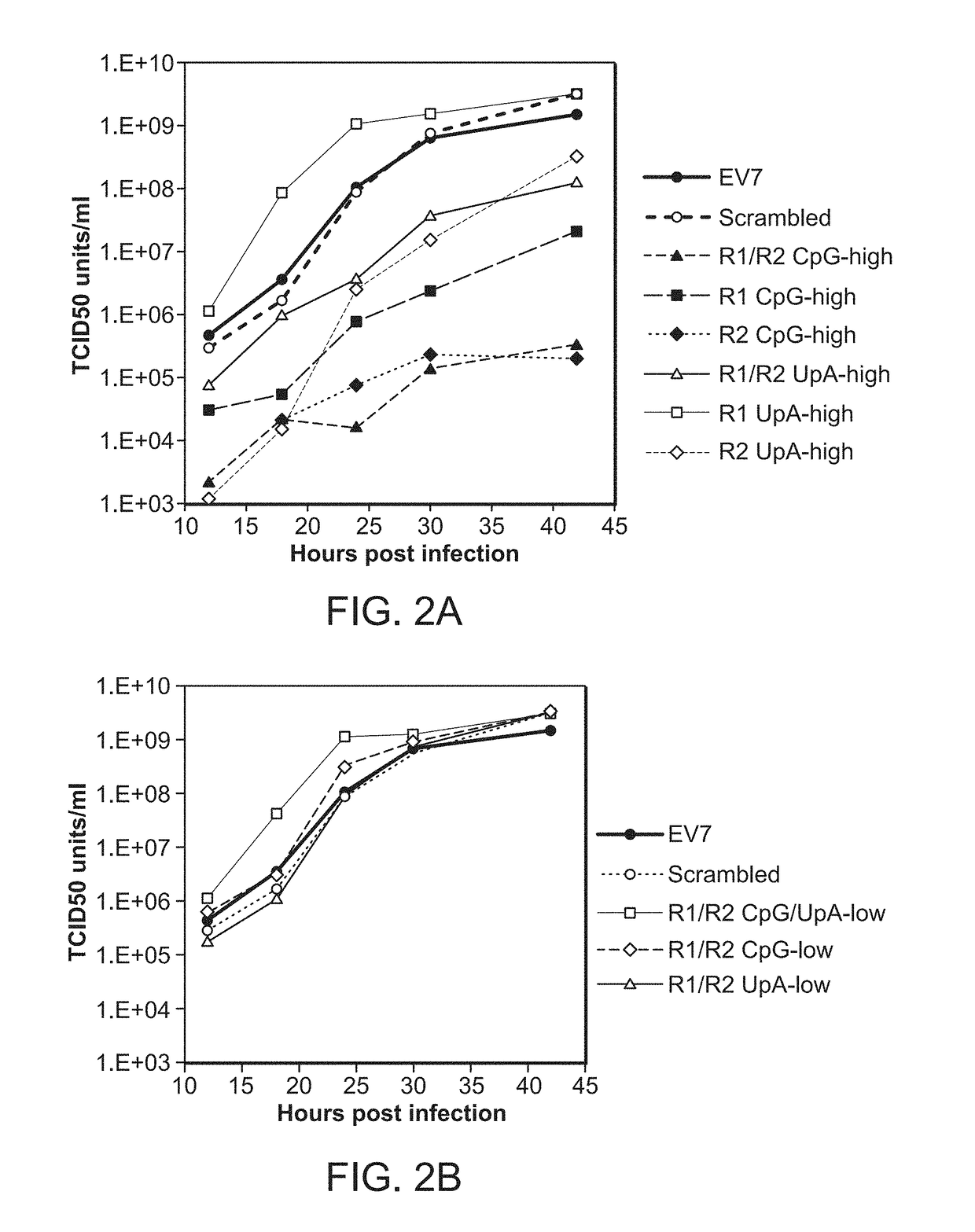 Enhanced expression of RNA vectors