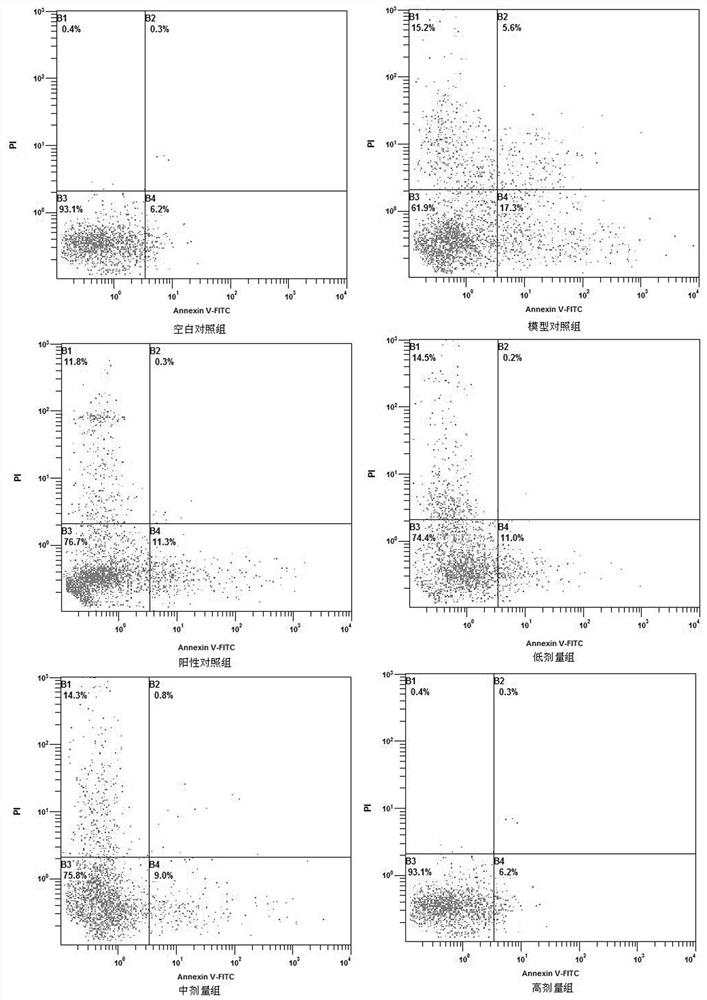 Application of Isoxaxifrage in the Preparation of Protective Drugs for Rat Pineal Gland Damage