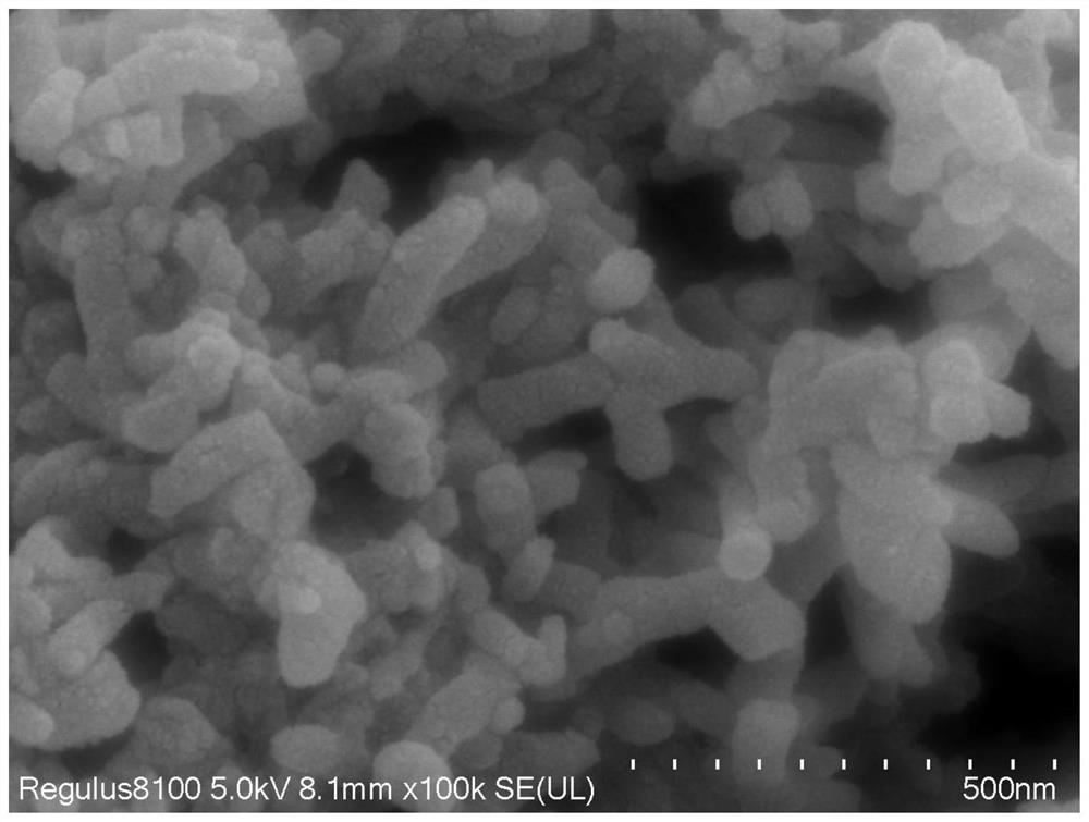 Phytic acid doped carbon nitride-polyaniline nano composite material and preparation method thereof as well as intumescent fire retardant coating and preparation method thereof