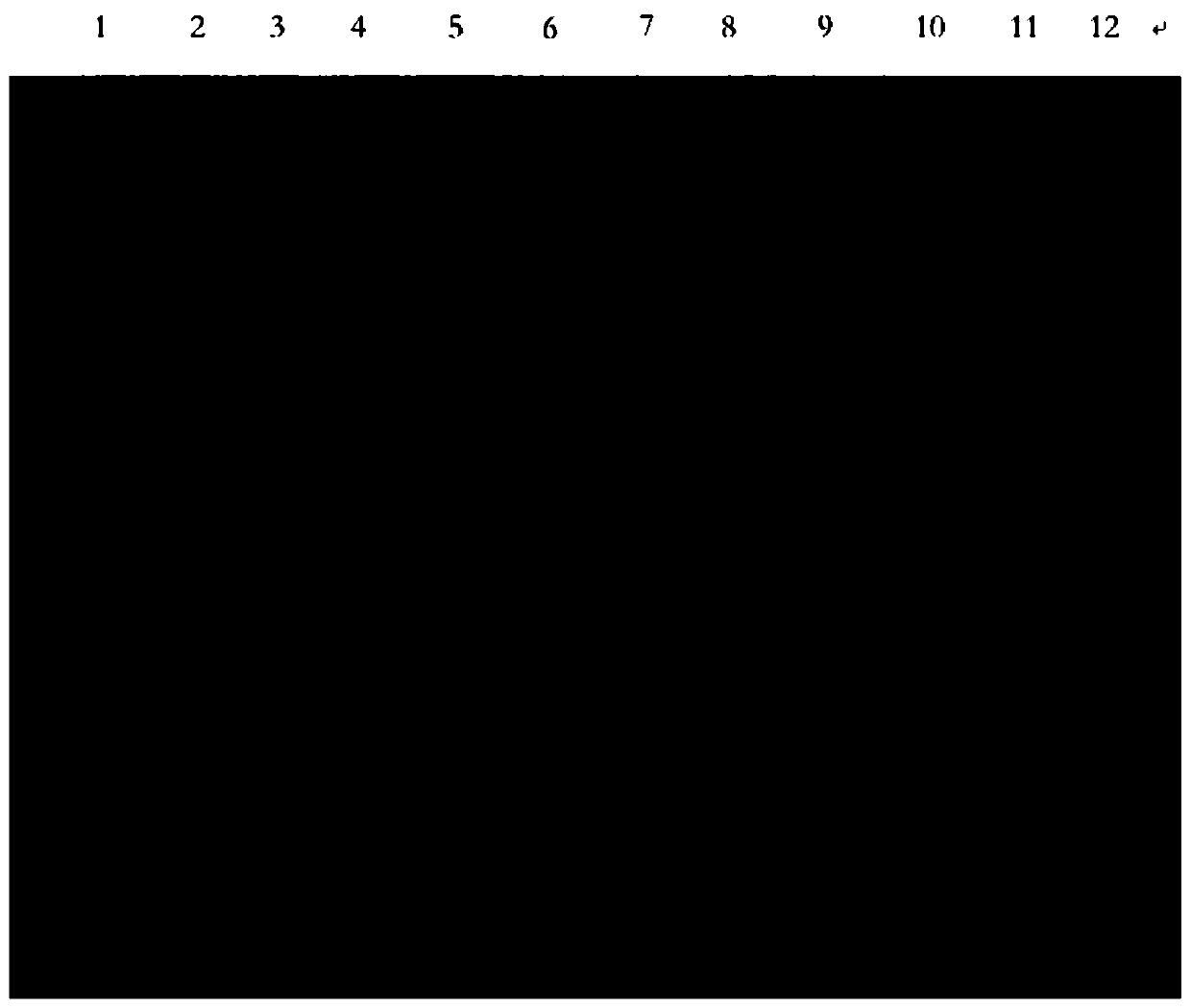 Heat treatment clarification method of industrial enzyme liquid