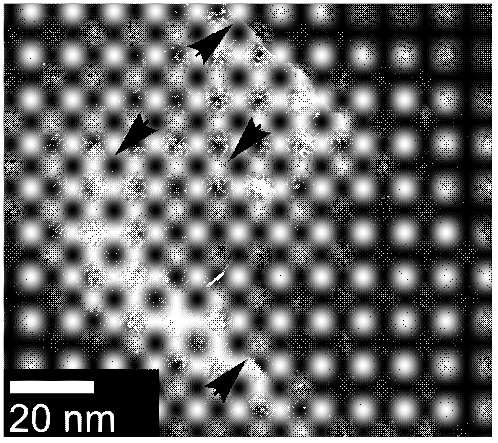 Polyethylene/montmorillonite nanometer composite material and method for preparing same by in-situ polymerization