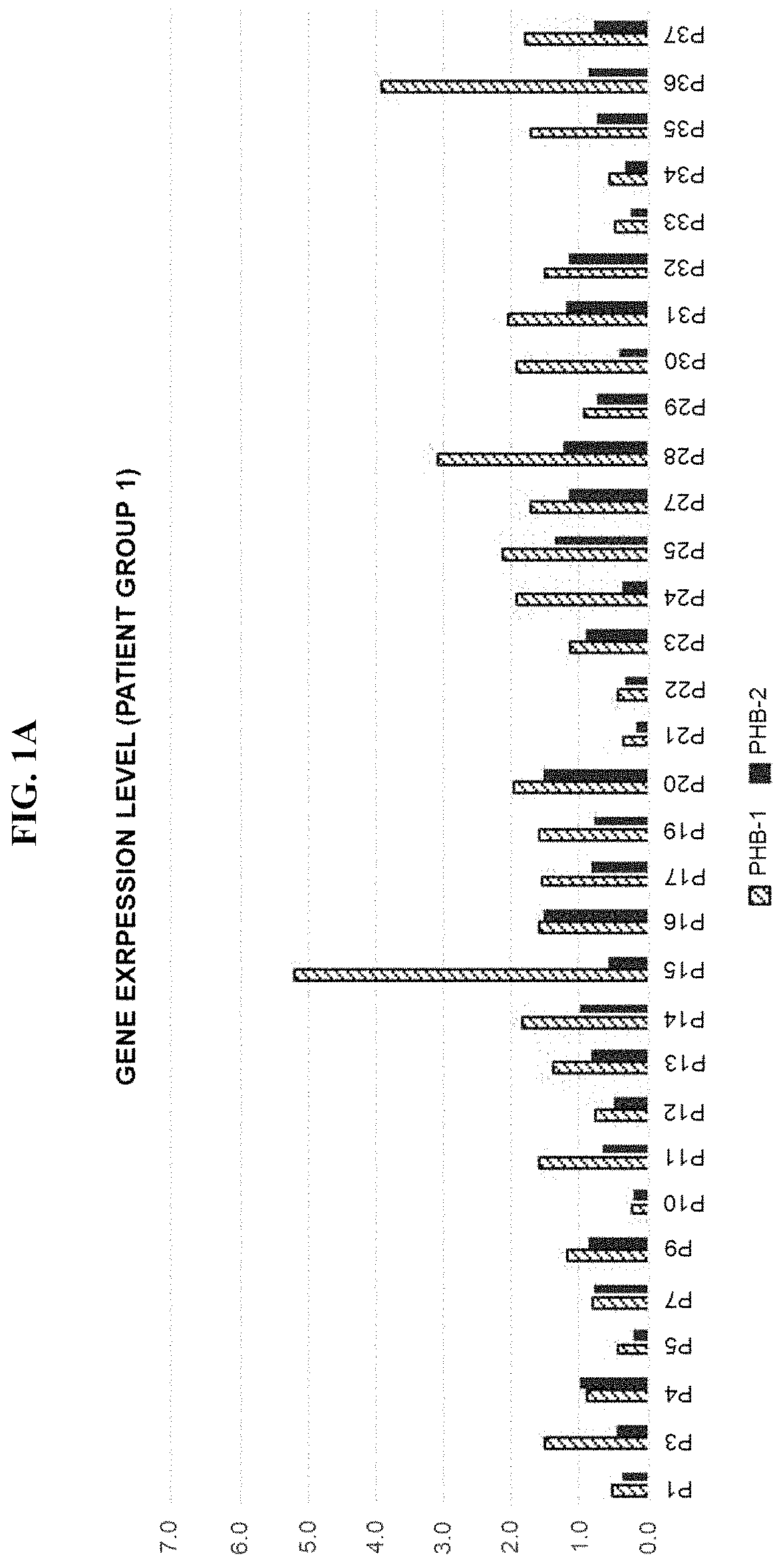 Leukemia diagnostic kit targeting prohibitin gene and diagnostic method using same