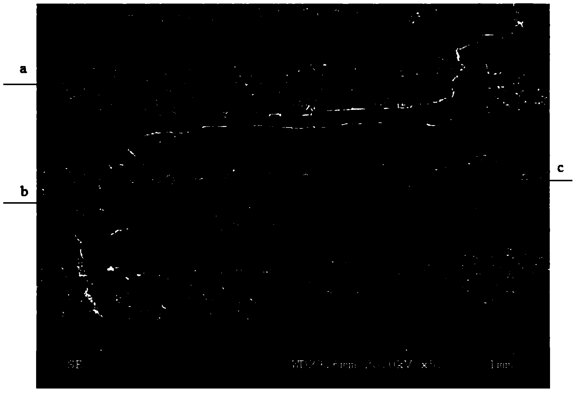 Method for preparing Ti-TiBw/Ti laminar composite material in diffusion welding mode