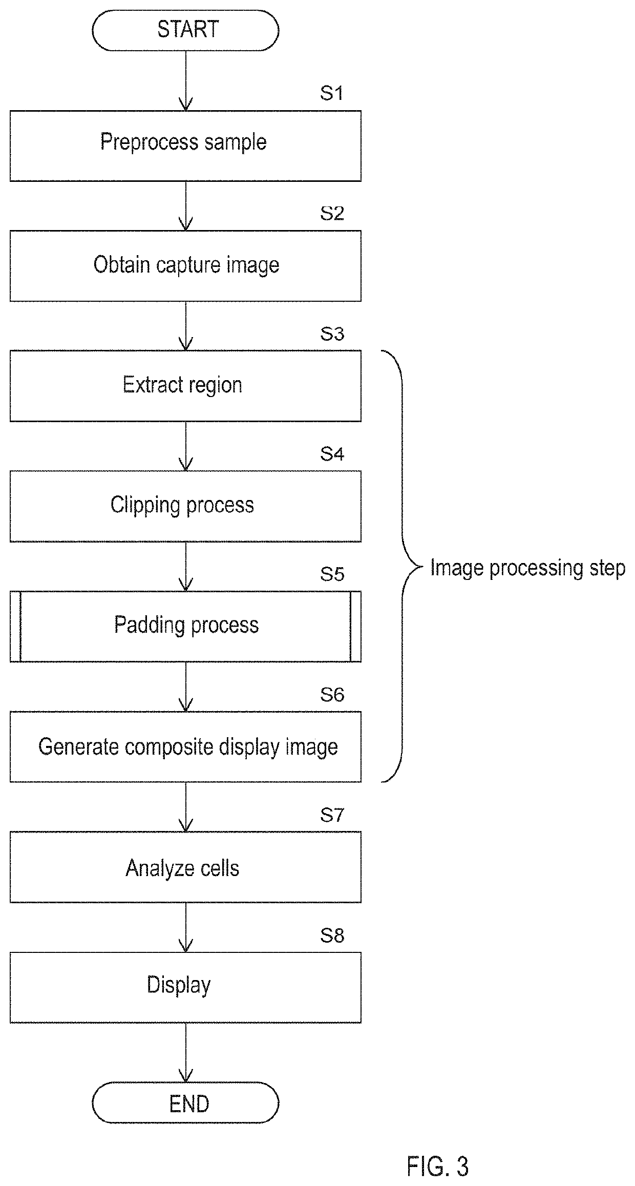 Image display apparatus, image display method, and image processing method