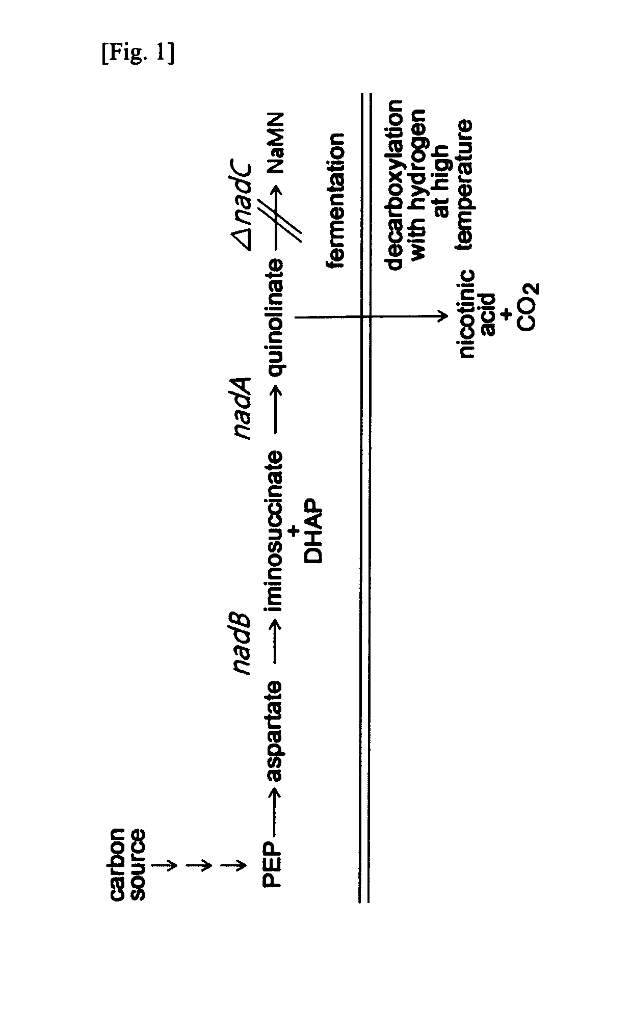 Method for the preparation of nicotinic acid