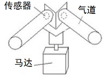 Three-dimensional electronic nose imitating structure and information processing mechanism of animal olfactory organ