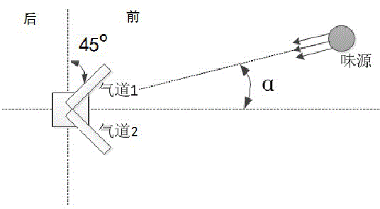 Three-dimensional electronic nose imitating structure and information processing mechanism of animal olfactory organ