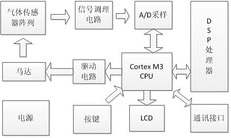 Three-dimensional electronic nose imitating structure and information processing mechanism of animal olfactory organ