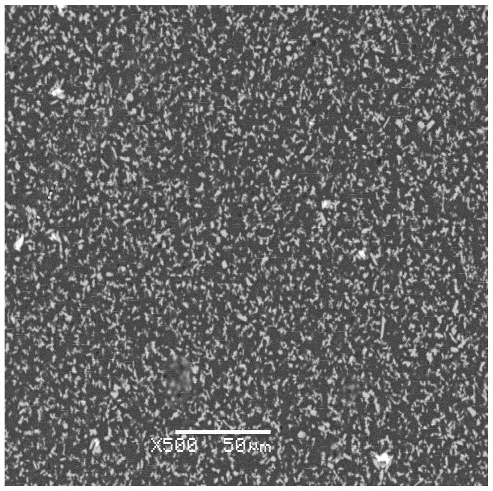 Zirconolite glass ceramic curing base material and preparation method thereof