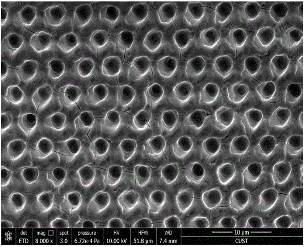 Laser interference nanolithography system for one-step titanium alloy implant surface texturing and modification