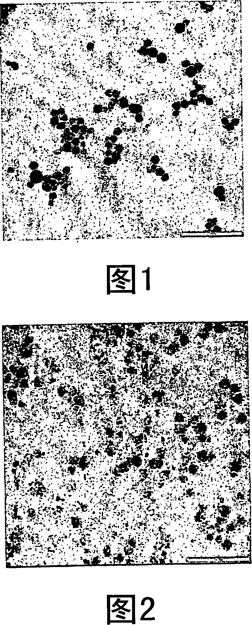 Functianalised polyvinylaromatic nanoparticles