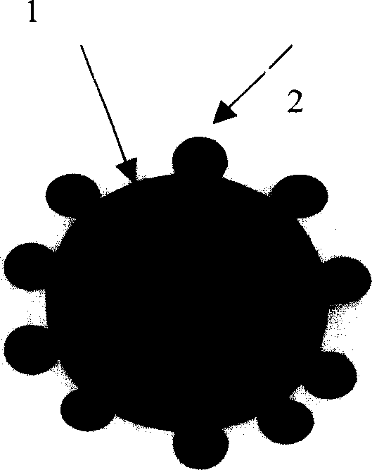 Fuel cell catalyst with function of guiding protons, and prepartion method