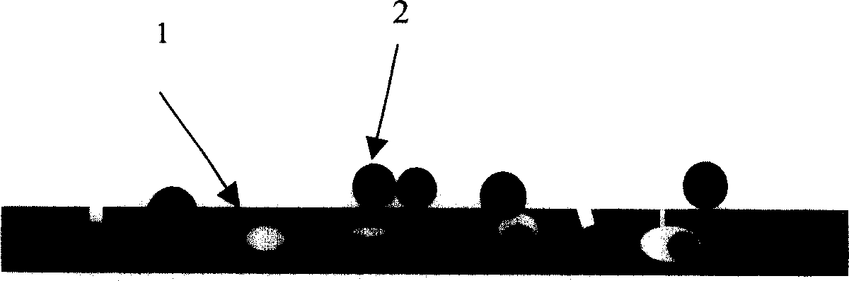 Fuel cell catalyst with function of guiding protons, and prepartion method