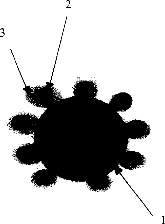 Fuel cell catalyst with function of guiding protons, and prepartion method