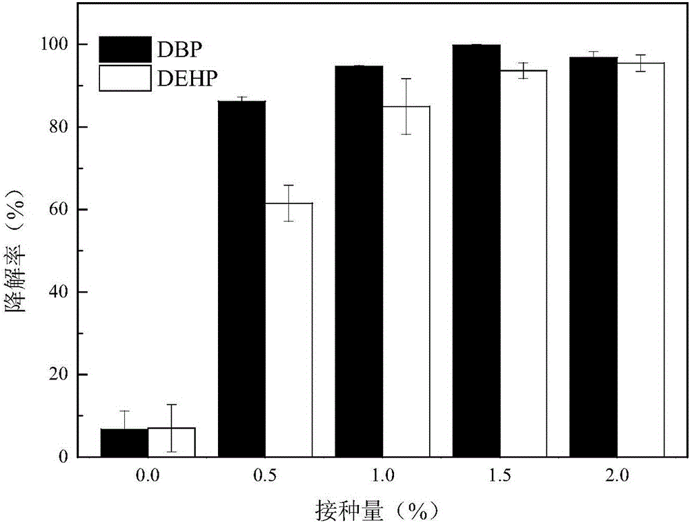 Pseudomonas putida RXX-01 and application of pseudomonas putida in degradation of phthalate of soil