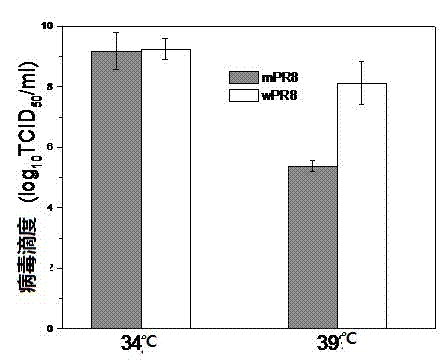 Application of chitosan as adjuvant in preparation of influenza virus attenuated live vaccine