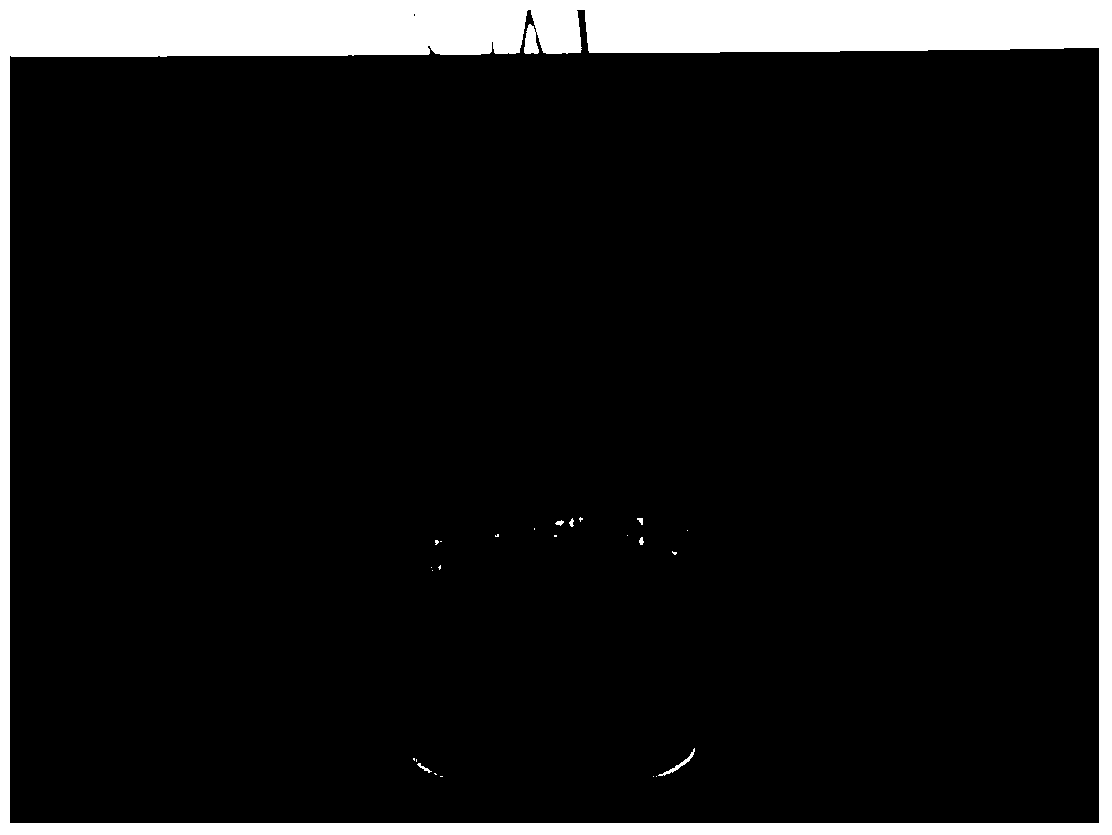 Method for mechanically producing seed by using female sterile hybrid rice