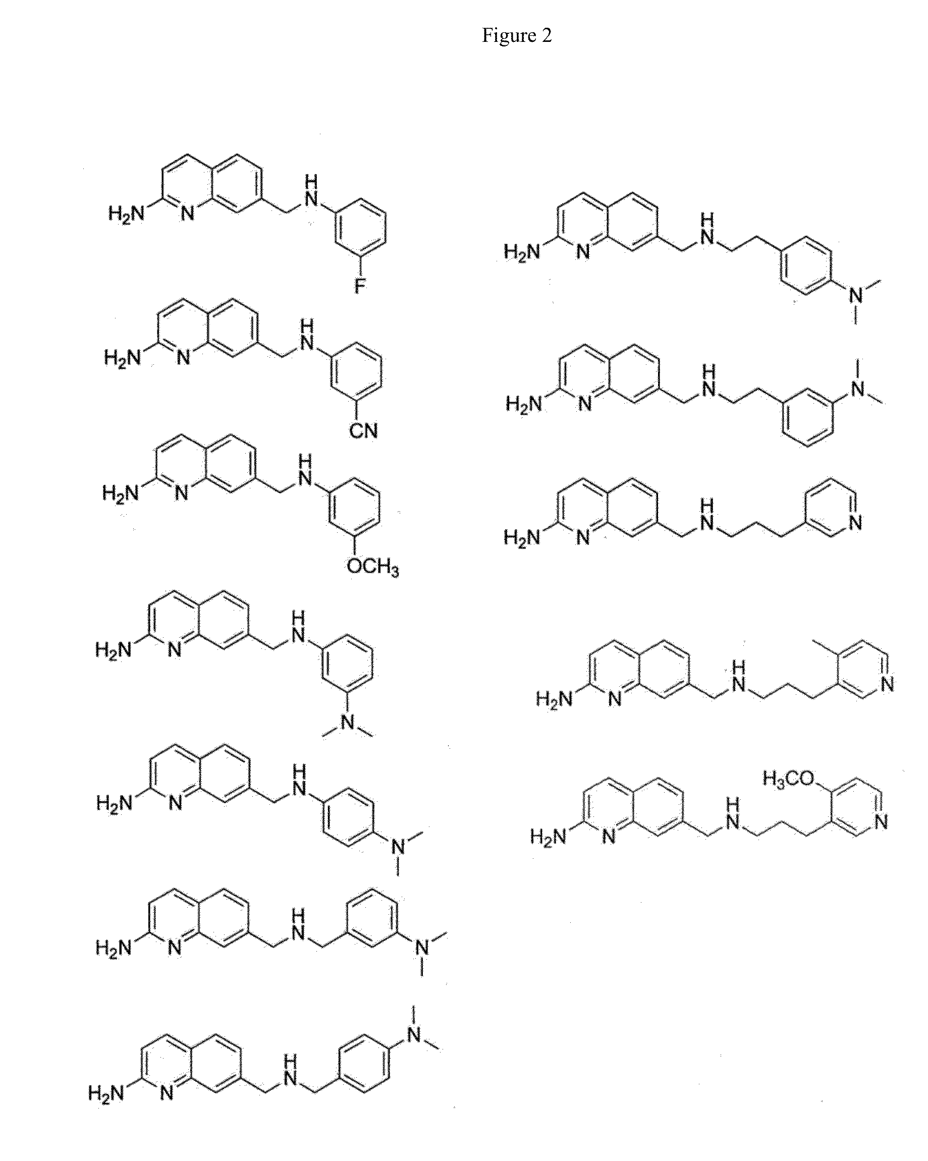 2-Aminoquinoline-Based Compounds for Potent and Selective Neuronal Nitric Oxide Synthase Inhibition